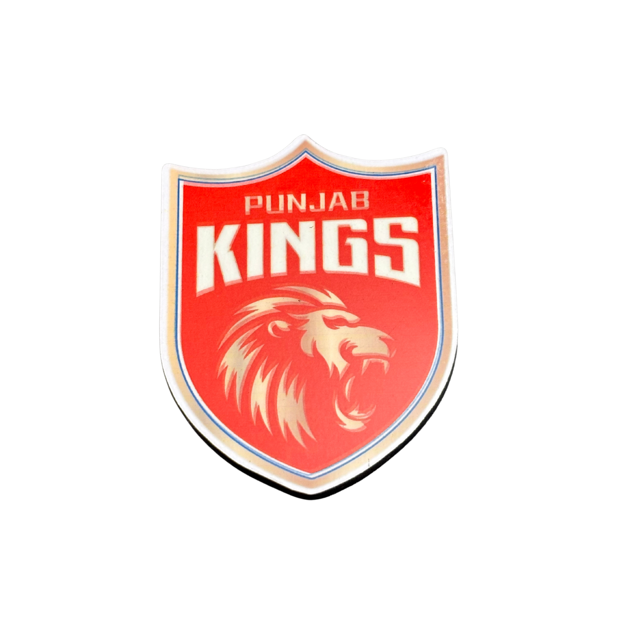 IPL PK fridge magnet by Moodsy