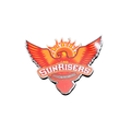 IPL SRH fridge magnet by Moodsy
